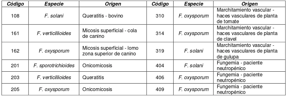 Tabla 5.5: Aislamientos seleccionados para la caracterización enzimática y de patogenicidad en modelos vegetales