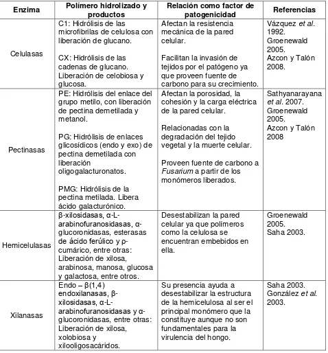 Tabla 6.1: Efecto de las enzimas líticas producidas por Fusarium spp. sobre la pared vegetal