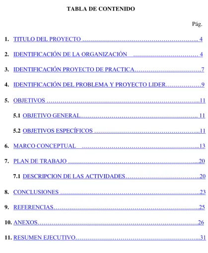 TABLA DE CONTENIDO  