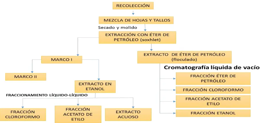 Figura 8. Metodología general para la obtención de extractos Vegetales. 
