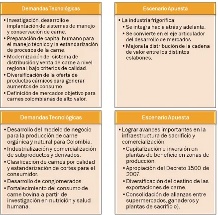 Figura 1. Continuación. 