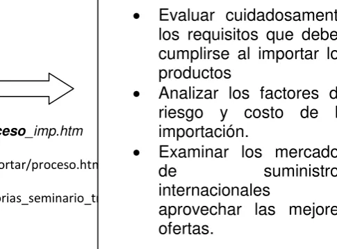 Figura 1. Proceso de Importación.29 