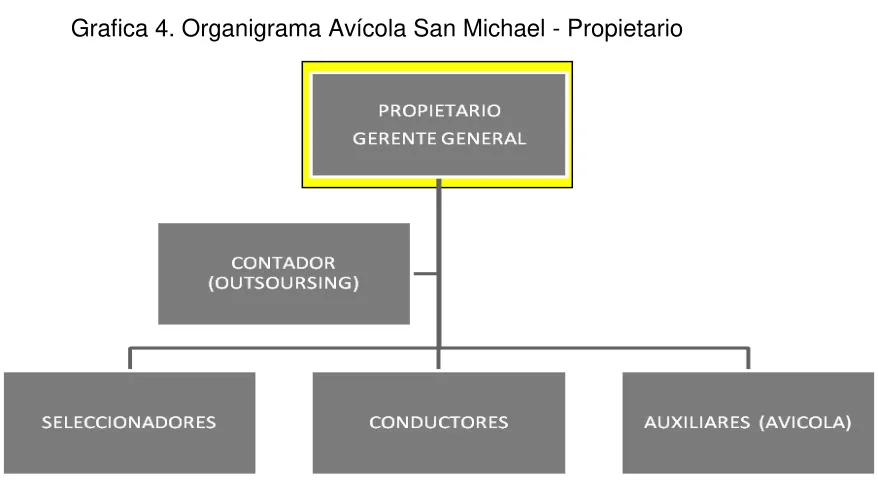 Tabla 4. Funciones propietario 