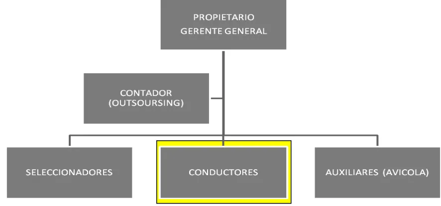 Tabla 6. Funciones conductor 