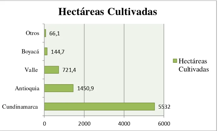 Tabla 2: Área sembrada en 28 municipios de la Sabana de Bogotá y Cundinamarca 