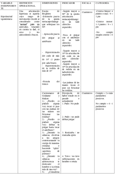 Tabla 8. Variables independientes 