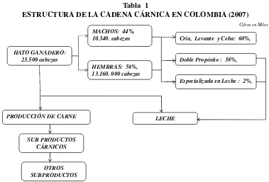 Tabla  1ESTRUCTURA DE LA CADENA CÁRNICA EN COLOMBIA (2007)