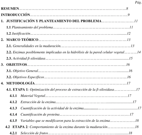 TABLA DE CONTENIDO 