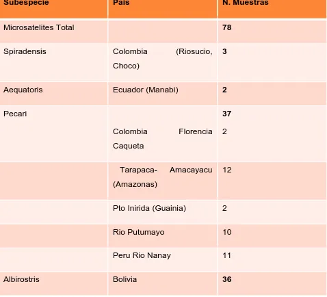Tabla 2. Localidades de Muestreo para Microsatelites Labio Blanco (Tayassu pecari) 