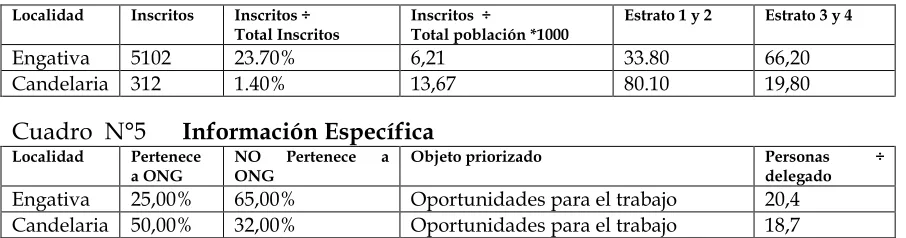 Cuadro  N°5      Información Específica 