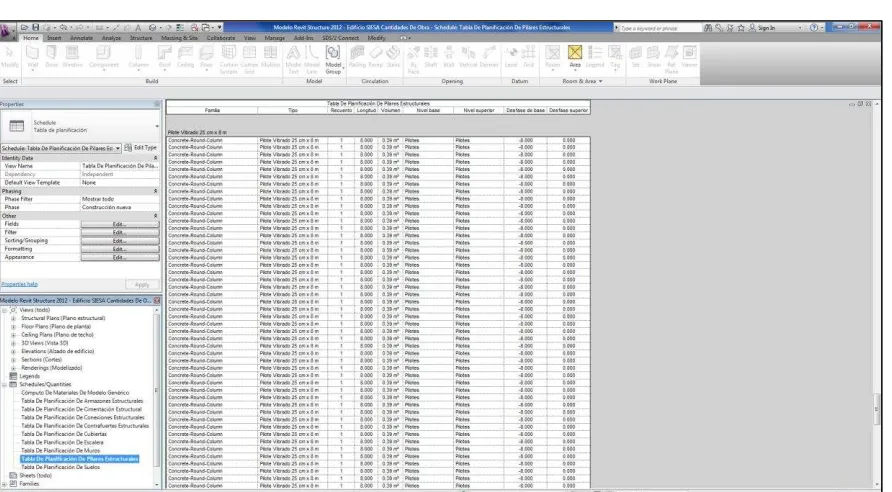 Figura N-57: Modelo Autodesk Revit Estructure 