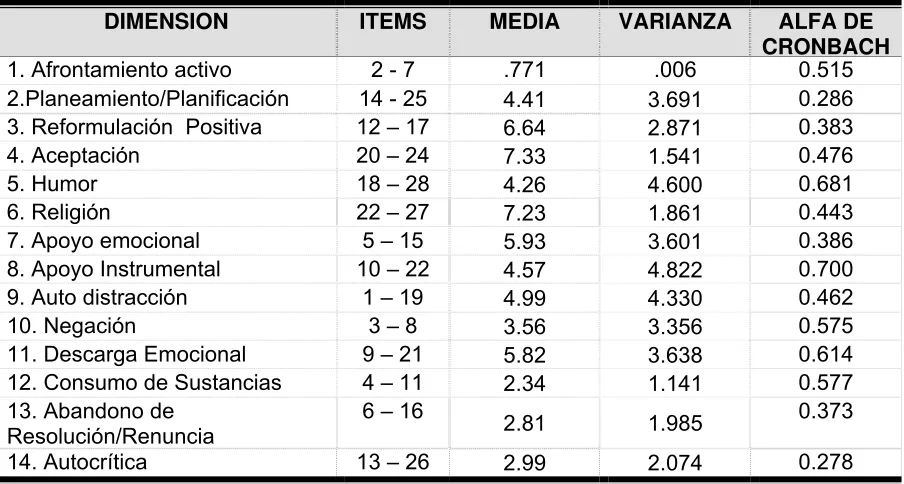 Tabla 6. Datos descriptivos para cada dimensión del instrumento Brief Cope Inventory en su versión en español
