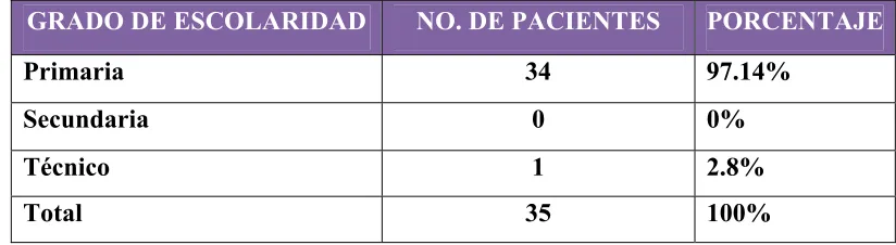 Tabla 3. Nivel de Escolaridad. 