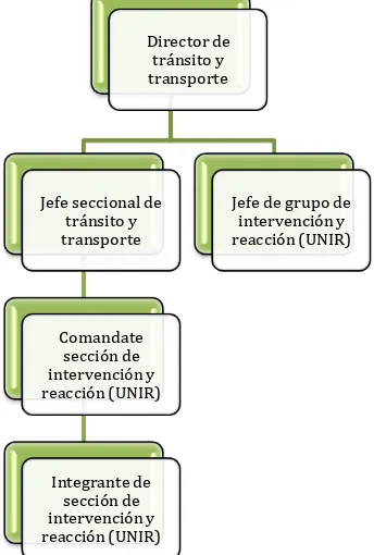 Figura 2. Organigrama pertinente a la operación de la unidad UNIR en la dirección de tránsito y transporte de la Policía Nacional de Colombia