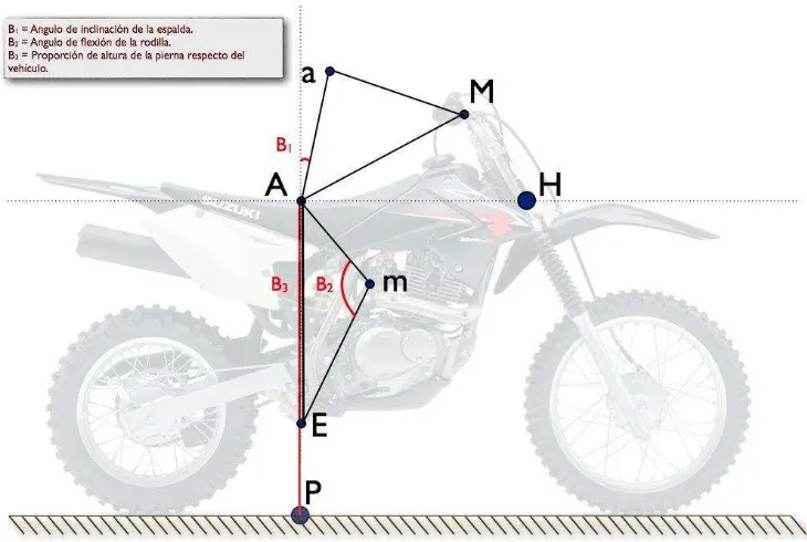 Figura 9. Relación entre medidas antropométricas y del vehículo. (Los autores)  