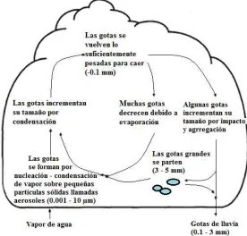 Figura 1 se ilustra la formación de precipitación en las nubes. 
