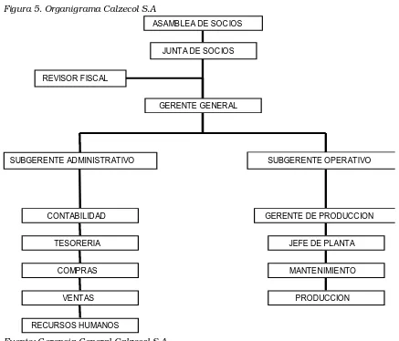 Figura 5. Organigrama Calzecol S.A 