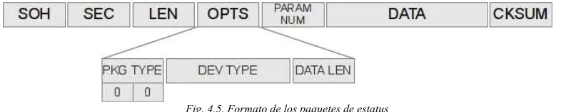 Fig. 4.6. Formato de los paquetes de error
