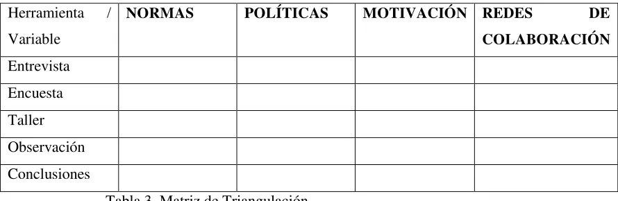 Tabla 3. Matriz de Triangulación 