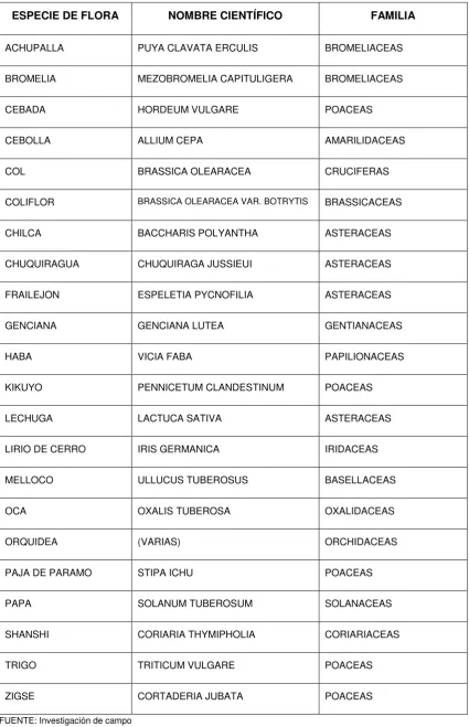 Tabla N° 2. Especies de flora 