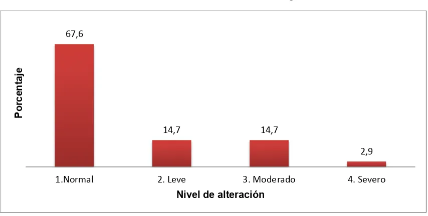 Figura 5.  