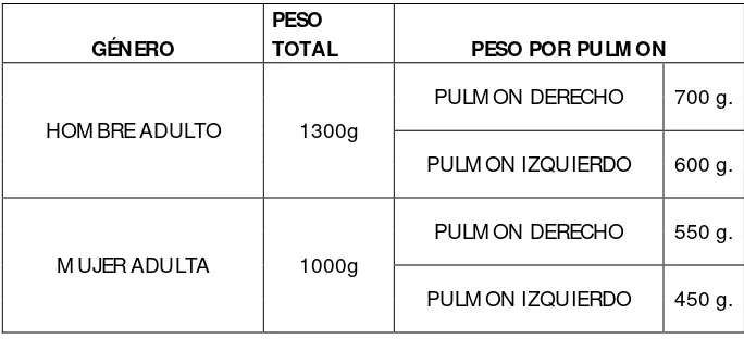 TABLA No. 2: PESO DE LOS PULMONES 