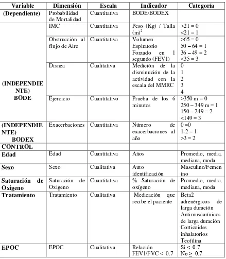 Tabla 11. Operacionalización de las variables en estudio. Hospital Enrique Garcés. Quito, 2014 