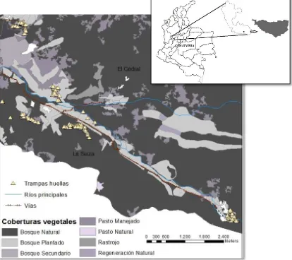 Fig. 1. Mapa del área de estudio: Cuenca alta del río Otún ubicada en Risaralda-Colombia mostrando 