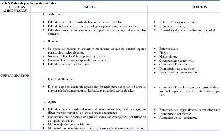 Tabla 5 Matriz de problemas Ambientales 