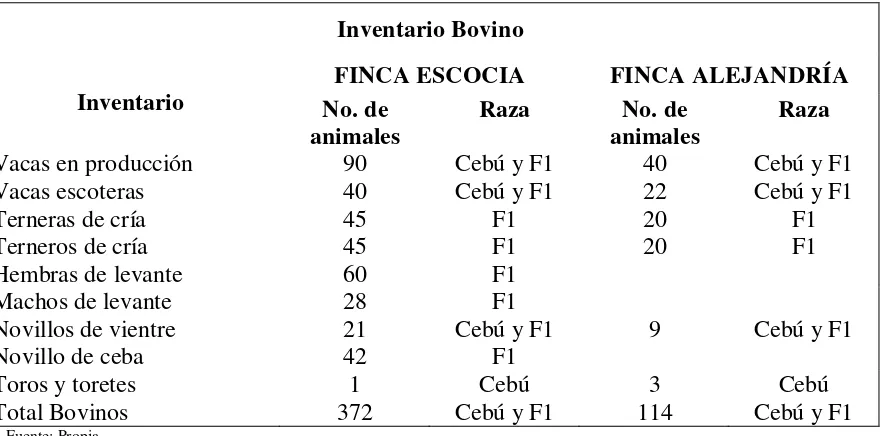 Tabla 2: Inventario bovino finca Escocia y Alejandría.  