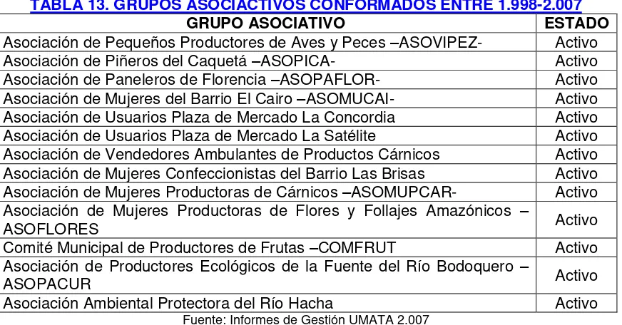 TABLA 13. GRUPOS ASOCIACTIVOS CONFORMADOS ENTRE 1.998-2.007 