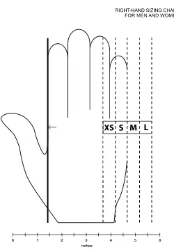 Figura 19. Tamaños dorso de la mano [37] 