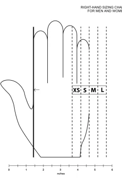 Figura 19. Tamaños dorso de la mano [37] 
