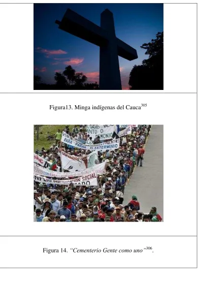 Figura13. Minga indígenas del Cauca305 