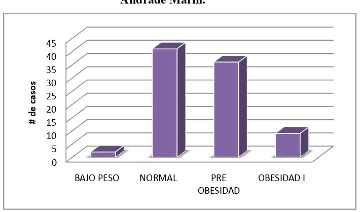 Figura 5: Distribución de los pacientes en estudio según Etnia.  Hospital 