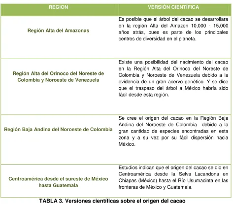 TABLA 3. Versiones científicas sobre el origen del cacao 