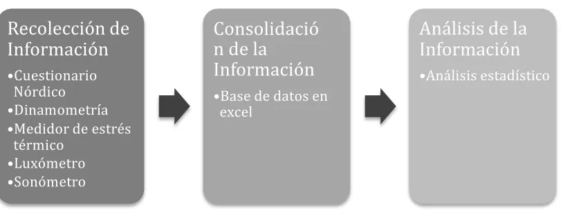 Figura 1. Esquema general de la información 