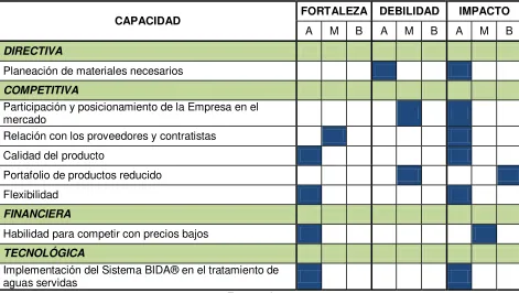 Tabla 5. Perfil de Capacidad Interna AcuaCare S.A.S. 