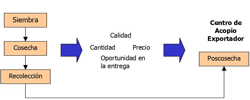 Figura 2. Proceso de Siembra a Poscosecha 