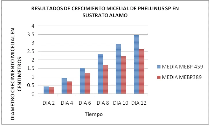 Tabla 2: RESULTADOS DE CRECIMIENTO MICELIAL DE PHELLINUS SP EN SUSTRATO ASERRIN COMUN