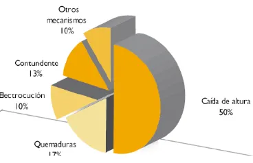 Figura 7. Porcentajes de prevalencia de mecanismos causales de accidentes fatales reportados en Bogotá por medicina Legal en el año 2006