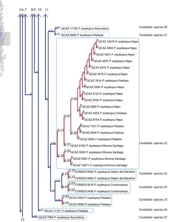 Figure 7. Continued 