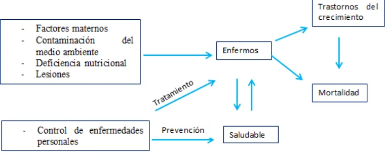 Figura 2. Marco conceptual de la mortalidad infantil adaptado de Mosley y Chen (1984) 