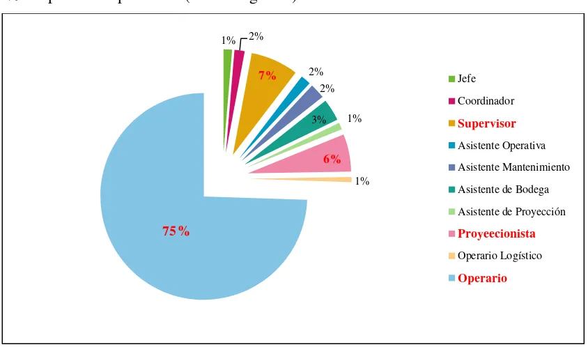 Tabla 10: Distribución de la cantidad de personal por grandes áreas  