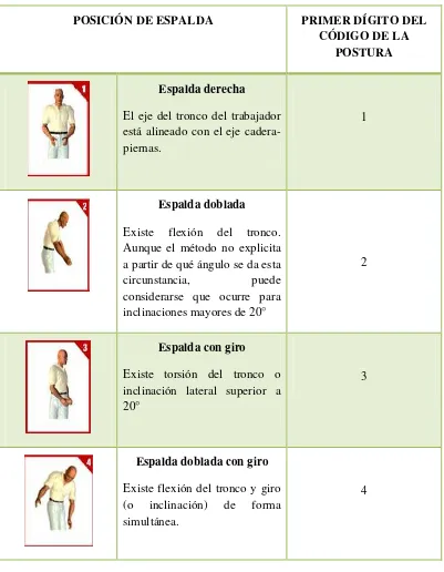 Tabla 2: Codificación de las posiciones de la espalda 