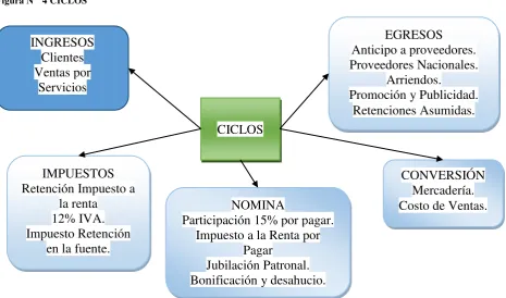 Figura N°  4 CICLOS 