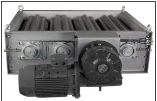 Figura 15.  Máquina despalilladora 