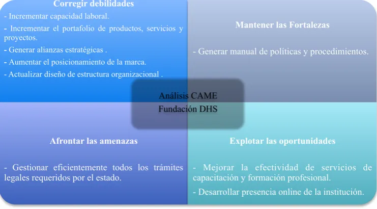 Figura 14. Análisis CAME Fundación DHS 