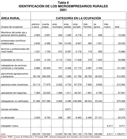 Tabla 6IDENTIFICACIÓN DE LOS MICROEMPRESARIOS RURALES 