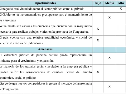 Cuadro N° 8: Nivel de Impacto EFE 